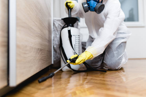Best Flea Control Services  in Catoosa, OK