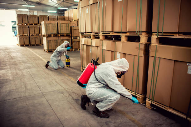 Best Termite Control Services  in Catoosa, OK