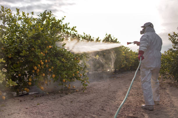 Best Mosquito Control Services  in Catoosa, OK