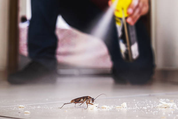 Best Local Pest Control Services  in Catoosa, OK