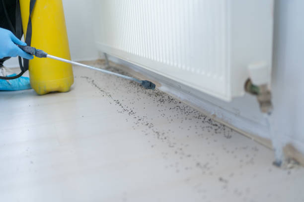 Best Pest Prevention Services  in Catoosa, OK