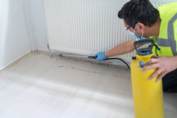 Best Residential Pest Control  in Catoosa, OK