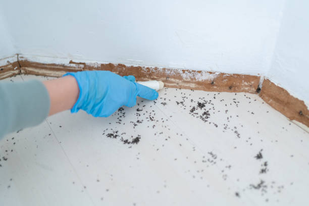 Best Cockroach Control Services  in Catoosa, OK